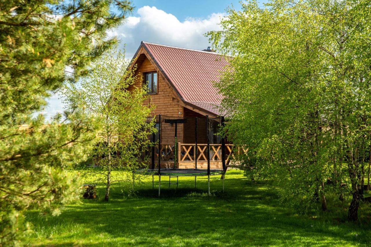Brzozowy Zakatek Dziemiany Exterior foto