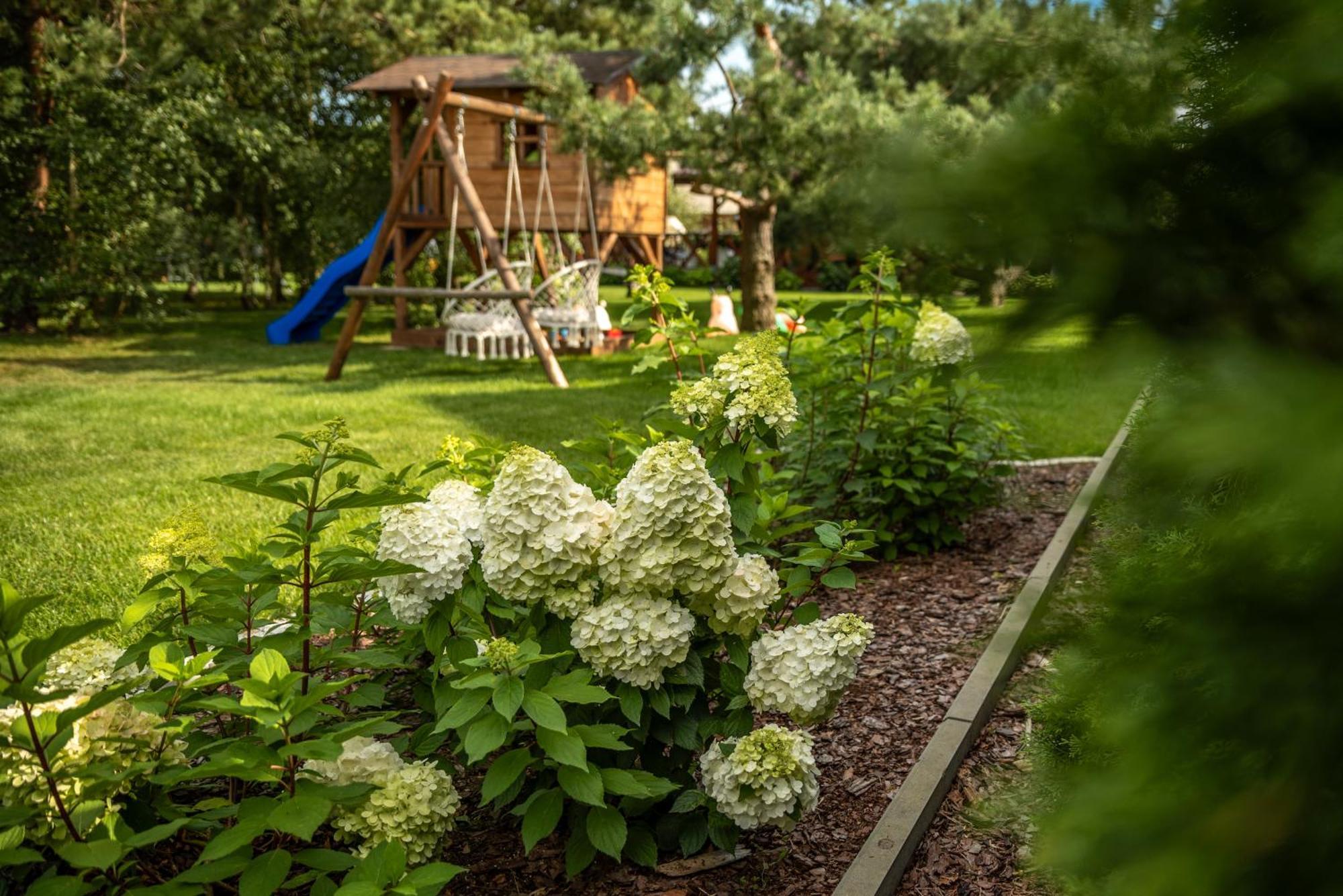 Brzozowy Zakatek Dziemiany Exterior foto
