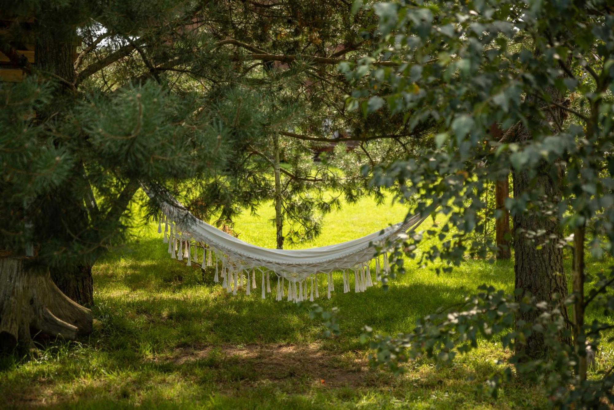 Brzozowy Zakatek Dziemiany Exterior foto